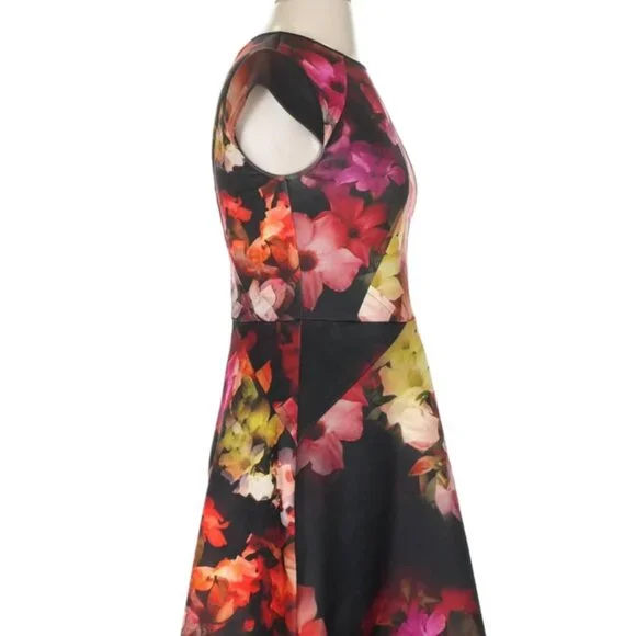 Ted Baker London Dress